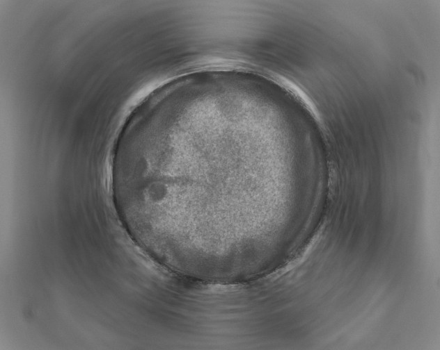 X0000111791419200908201121