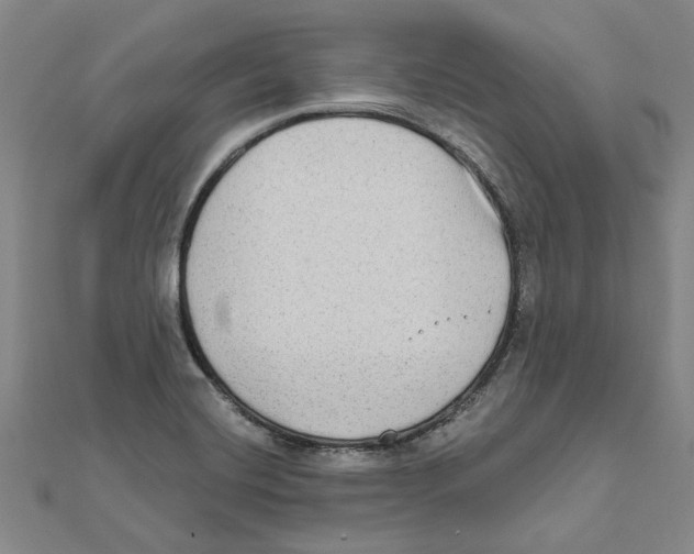 X0000111791420200908201121