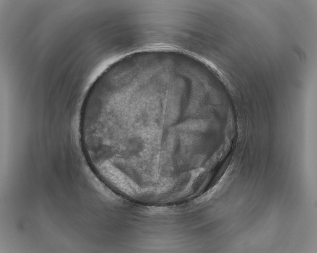 X0000111791422200908201121