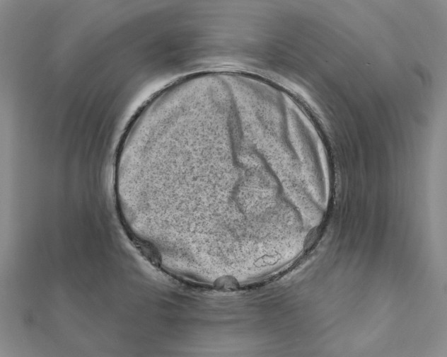 X0000111791424200908201122