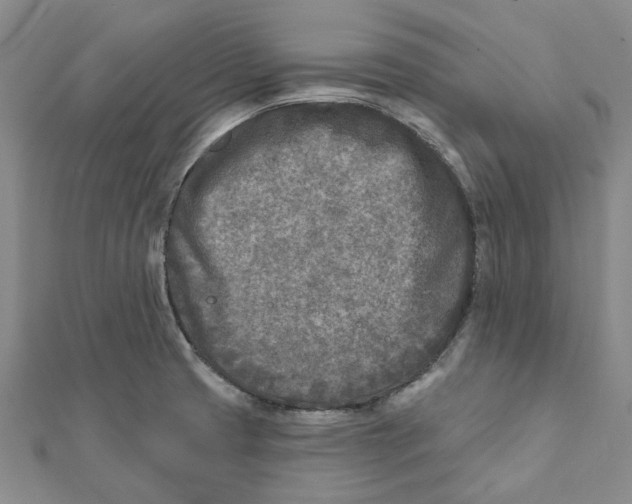 X0000111791425200908201122