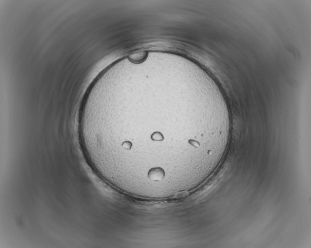 X0000111791426200908201122