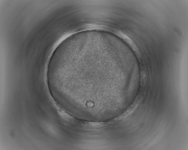 X0000111791427200908201122