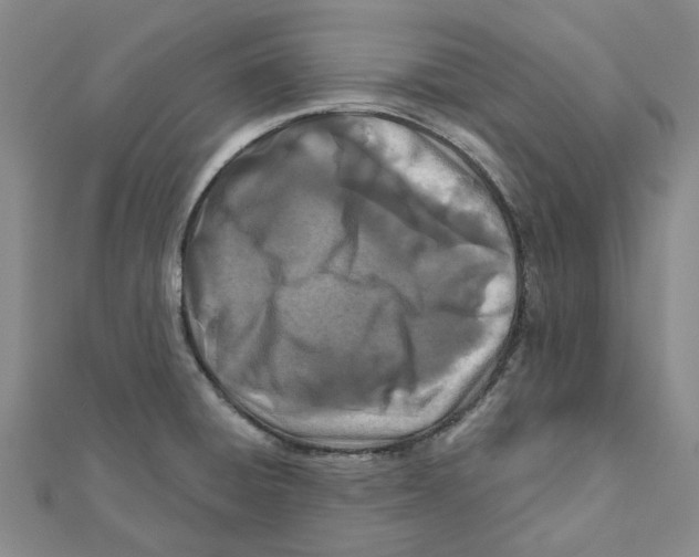 X0000111791428200908201122