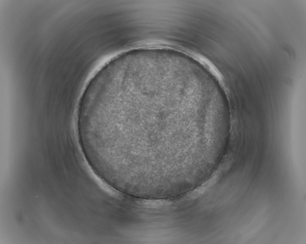 X0000111791429200908201122