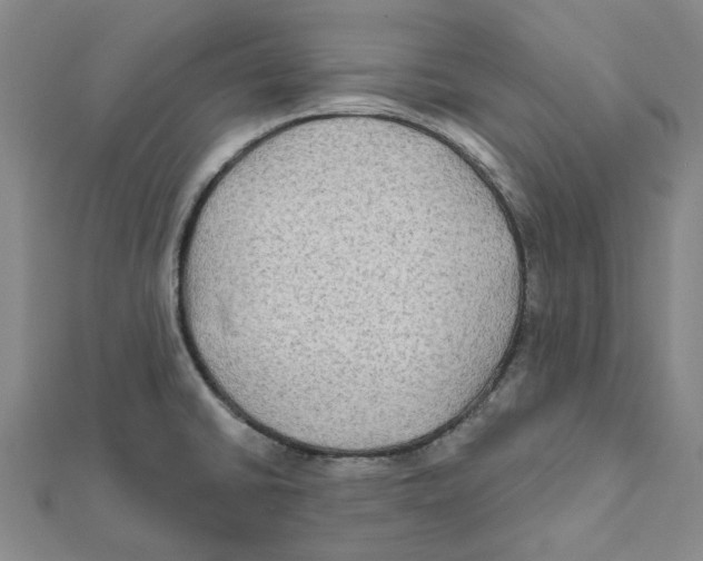 X0000111791430200908201122