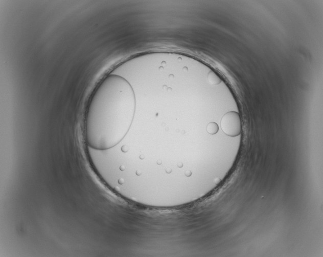 X0000111791432200908201122