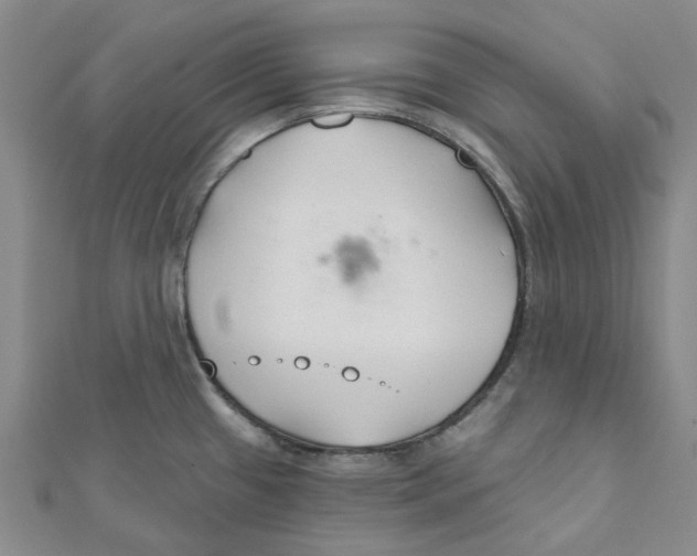 X0000111791433200908201122