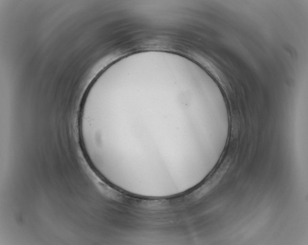 X0000111791434200908201122