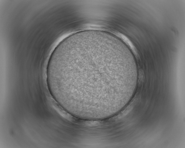 X0000111791435200908201122