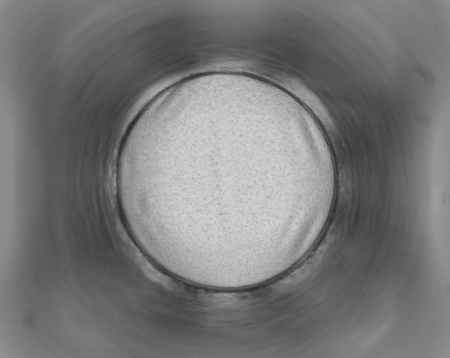 X0000111791436200908201122