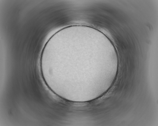 X0000111791440200908201122