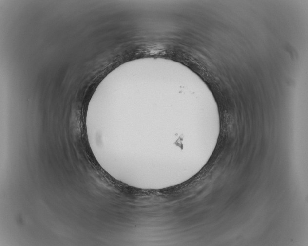 X0000111791442200908201121