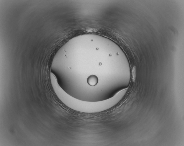 X0000111791443200908201121