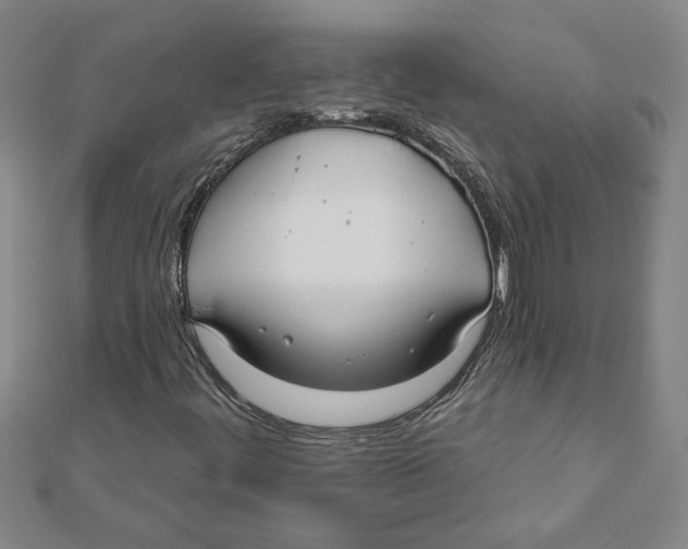 X0000111791444200908201121