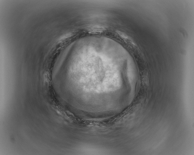 X0000111791445200908201121