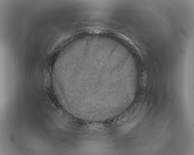 X0000111791446200908201121