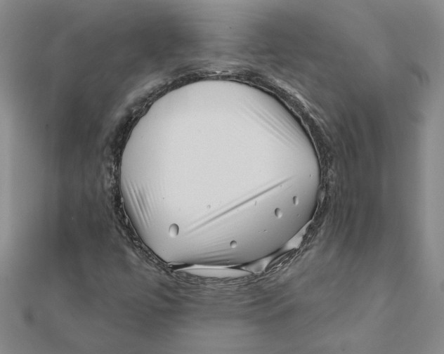 X0000111791447200908201121