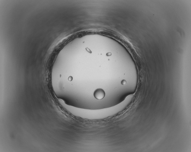 X0000111791448200908201121