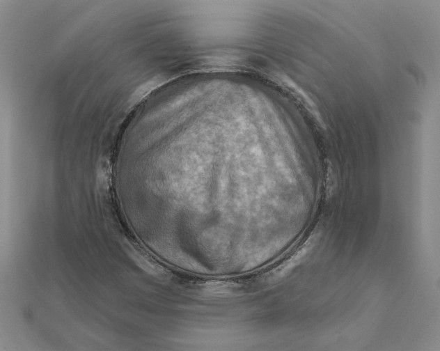 X0000111791449200908201121