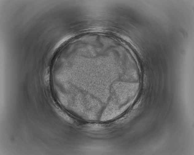 X0000111791450200908201121