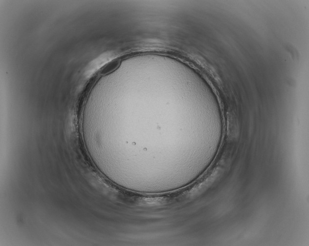 X0000111791453200908201121