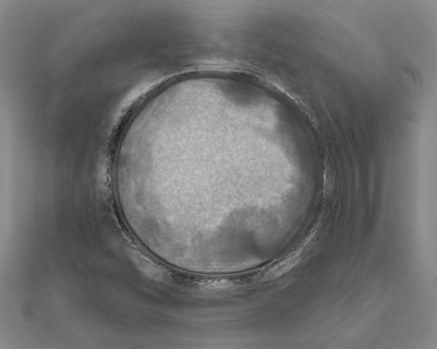 X0000111791454200908201121