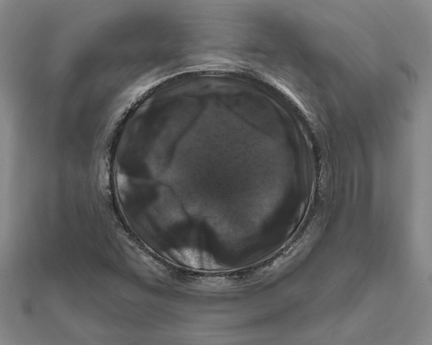 X0000111791455200908201121