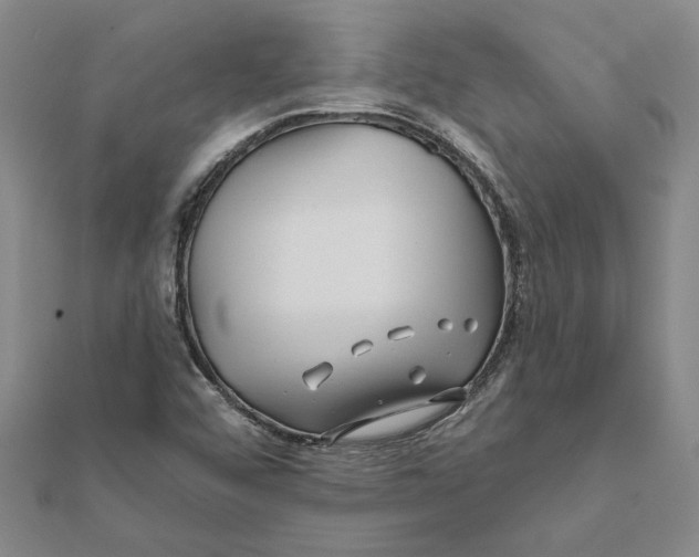 X0000111791456200908201121