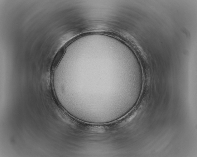 X0000111791457200908201121