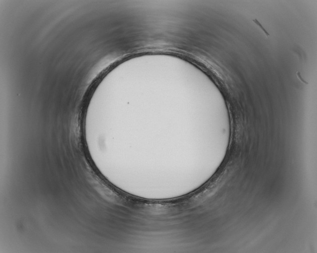 X0000111791458200908201121