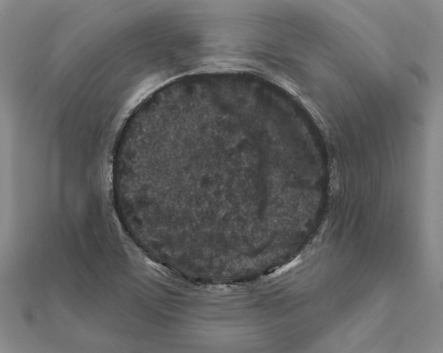 X0000111791459200908201121