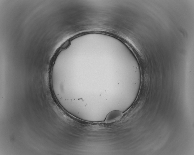 X0000111791460200908201121