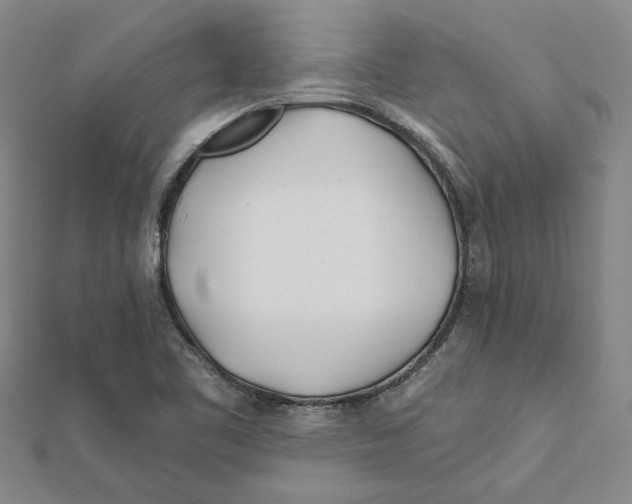 X0000111791461200908201121