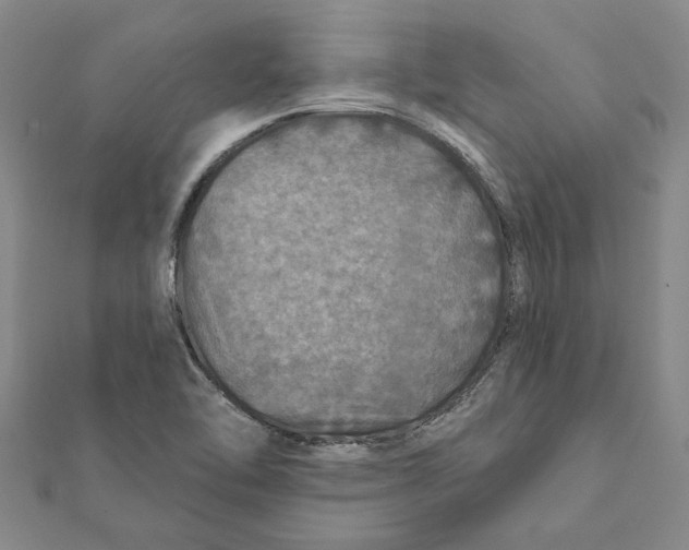 X0000111791462200908201121