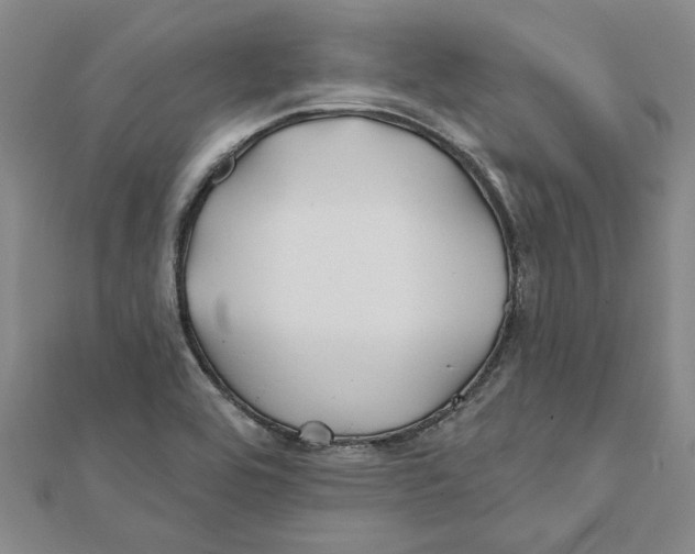 X0000111791464200908201121