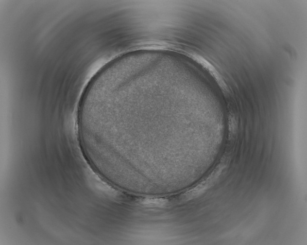 X0000111791466200908201121