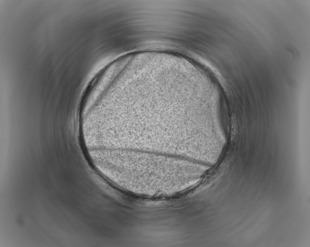 X0000111791467200908201120