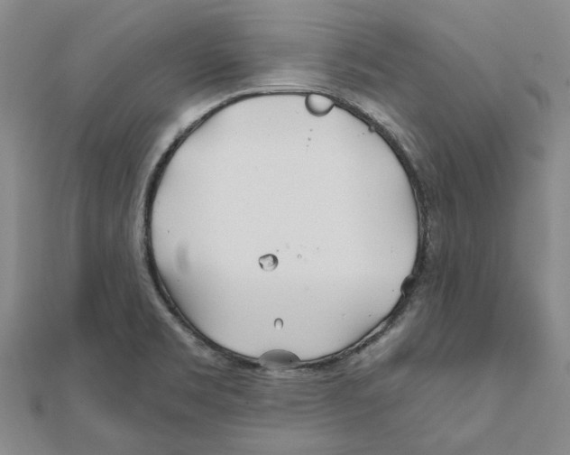 X0000111791469200908201120