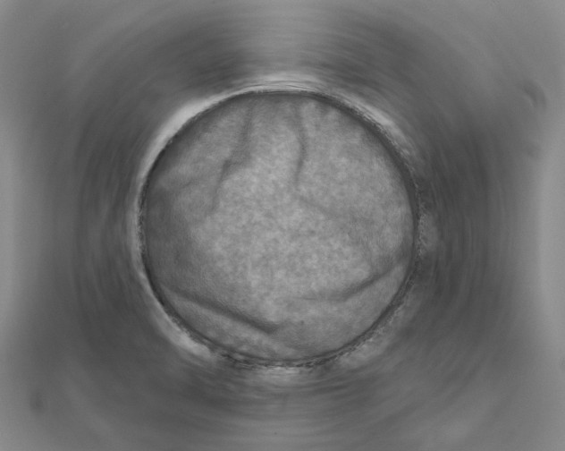 X0000111791470200908201120