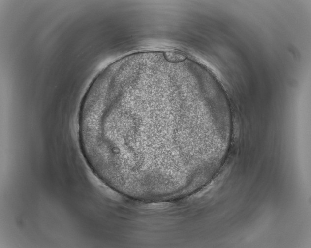 X0000111791471200908201120