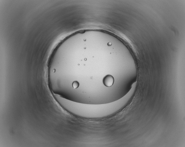 X0000111791472200908201120