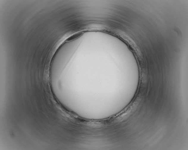 X0000111791473200908201120