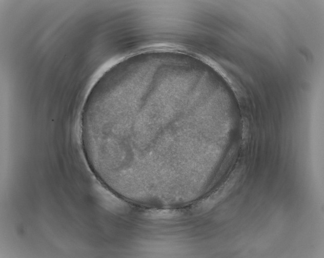 X0000111791474200908201120