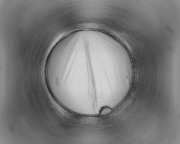 X0000111791475200908201120