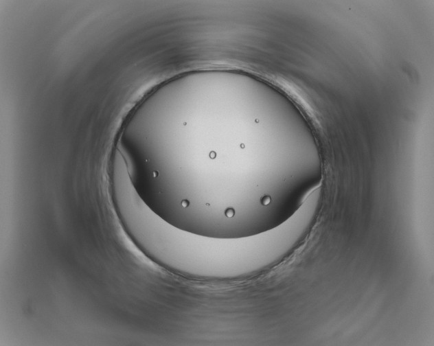 X0000111791476200908201120