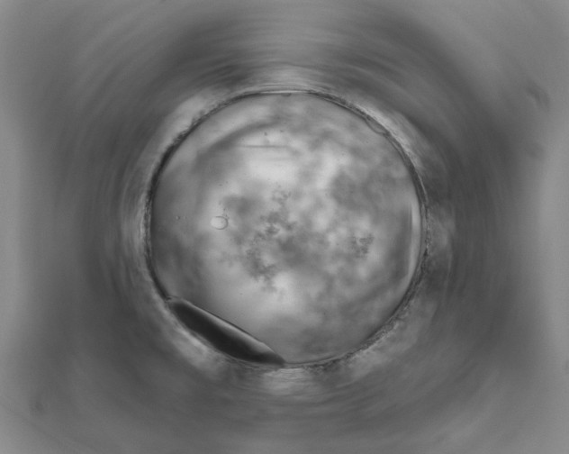 X0000111791477200908201120