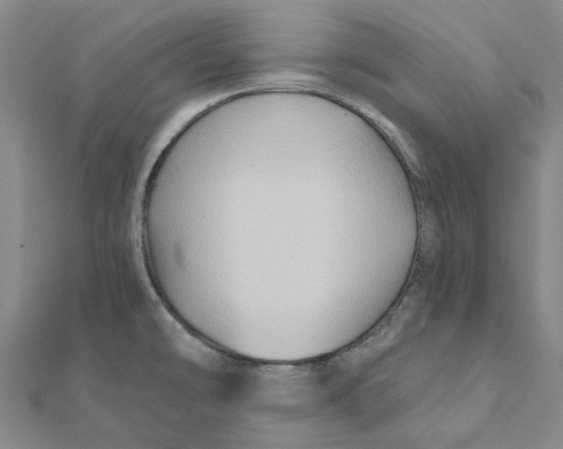 X0000111791478200908201120