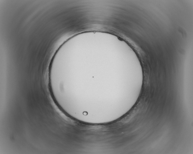 X0000111791479200908201120