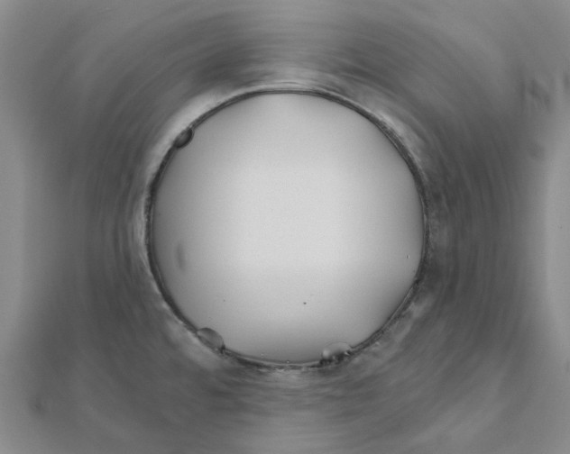 X0000111791480200908201120